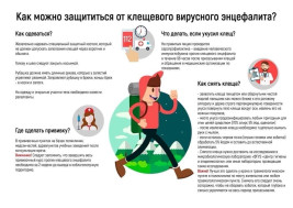 О Всероссийской горячей линии по профилактике клещевого энцефалита и инфекций, передающихся клещами